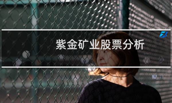 紫金矿业股票分析