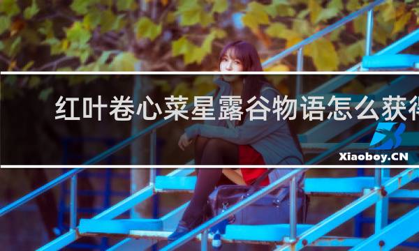 红叶卷心菜星露谷物语怎么获得