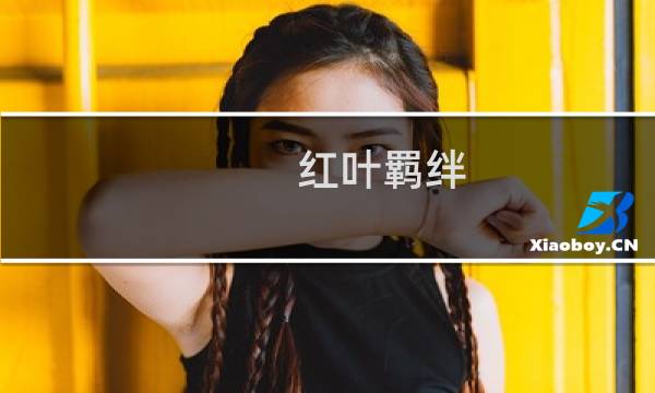 红叶羁绊 攻略