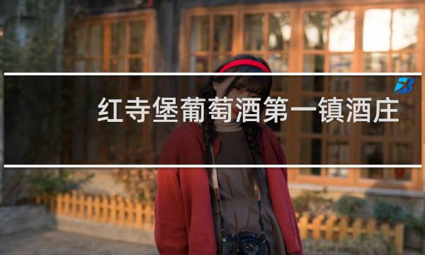 红寺堡葡萄酒第一镇酒庄