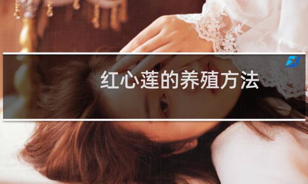 红心莲的养殖方法