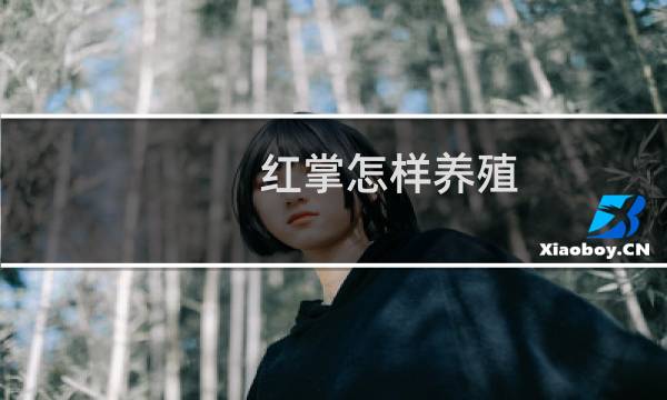 红掌怎样养殖