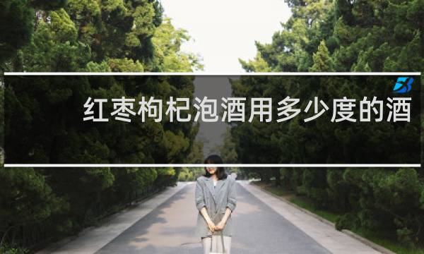 红枣枸杞泡酒用多少度的酒