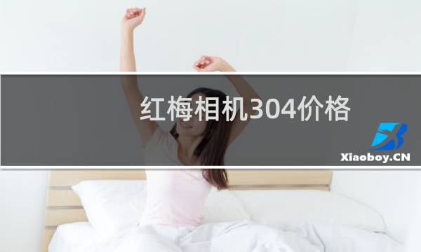 红梅相机304价格