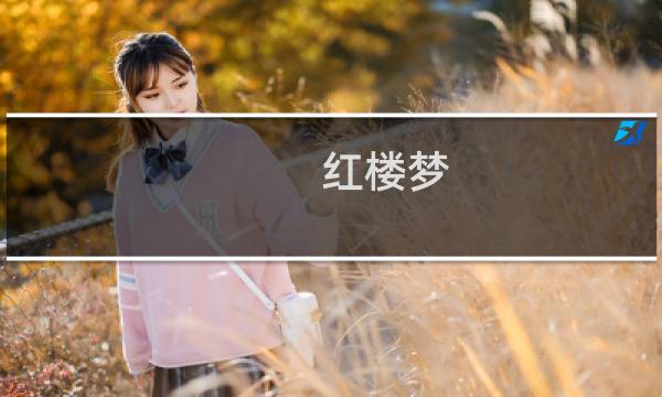 红楼梦 引子