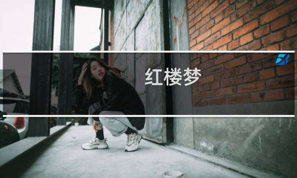 红楼梦 张华