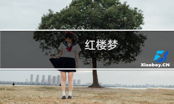 红楼梦 的阅读感想