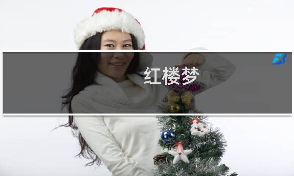 红楼梦 章节