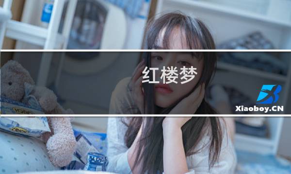 红楼梦 第一回