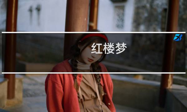 红楼梦 诗句