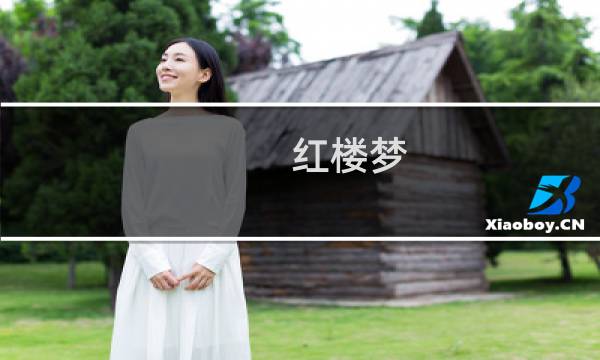 红楼梦 贾芸