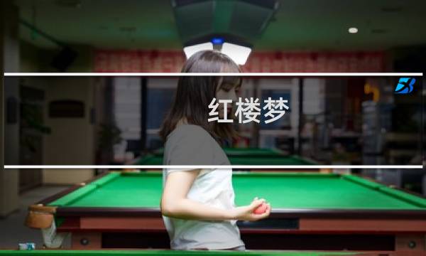红楼梦 霁月