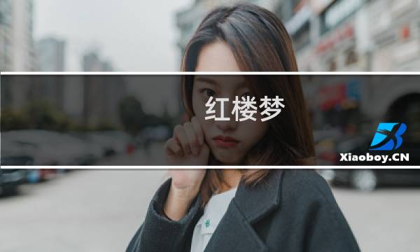 红楼梦 黄文