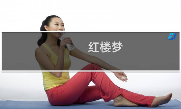 红楼梦 txt