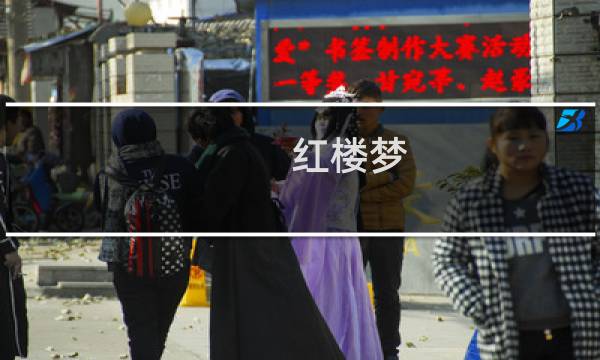 红楼梦.主要内容