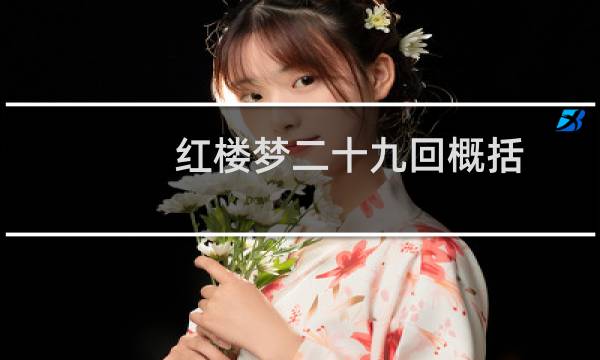 红楼梦二十九回概括