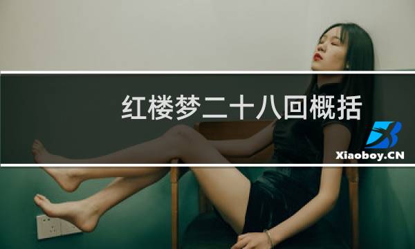 红楼梦二十八回概括