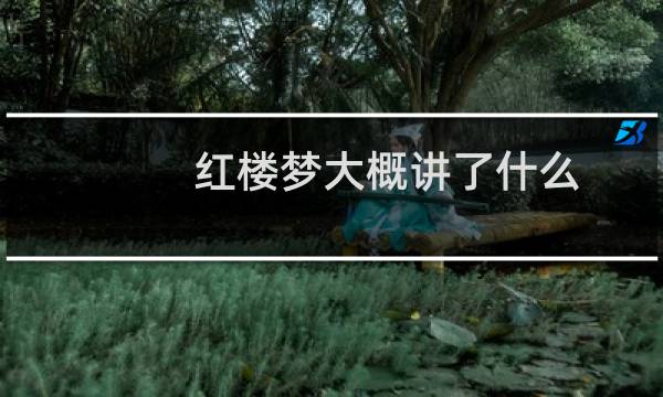 红楼梦大概讲了什么