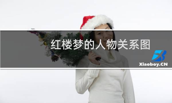 红楼梦的人物关系图