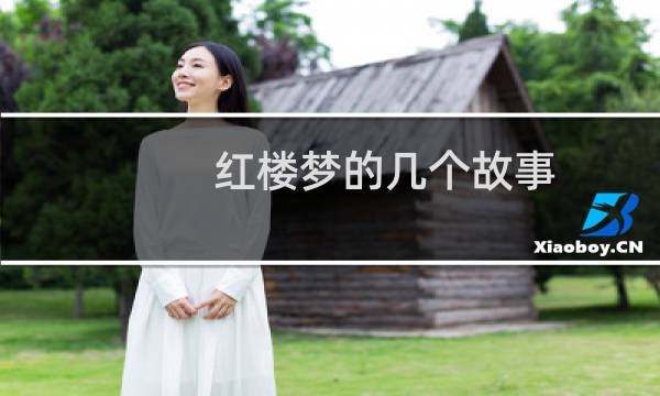 红楼梦的几个故事