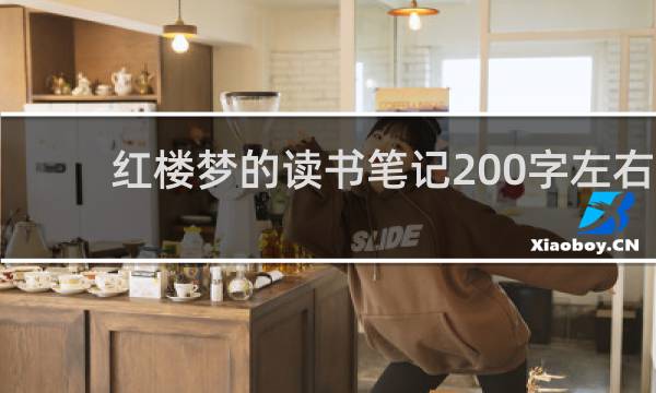 红楼梦的读书笔记200字左右