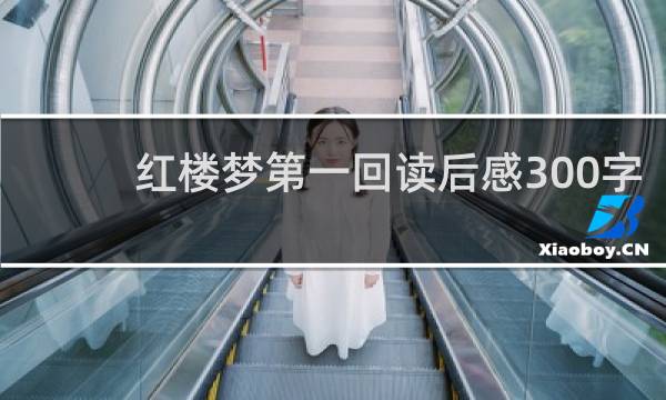 红楼梦第一回读后感300字