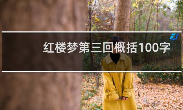 红楼梦第三回概括100字