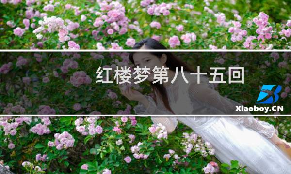 红楼梦第八十五回