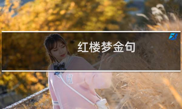红楼梦金句