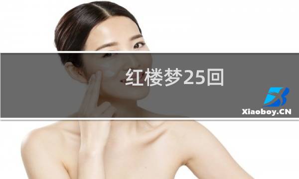红楼梦25回