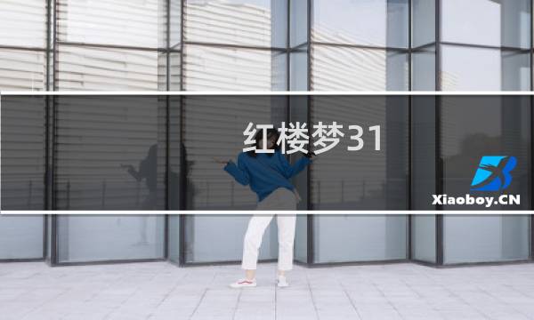 红楼梦31-40回概括