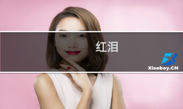 红泪 攻略