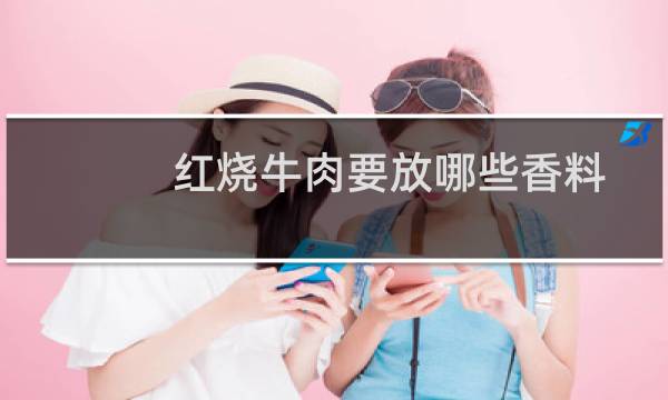 红烧牛肉要放哪些香料