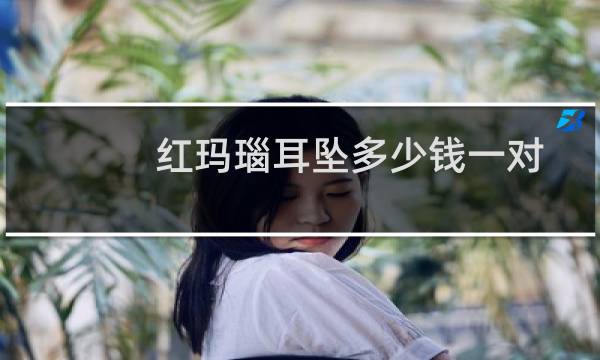 红玛瑙耳坠多少钱一对