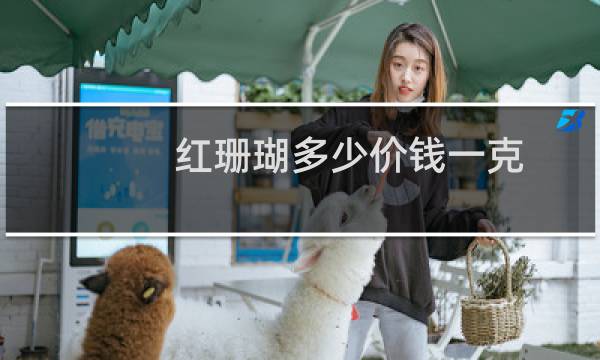 红珊瑚多少价钱一克