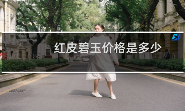 红皮碧玉价格是多少