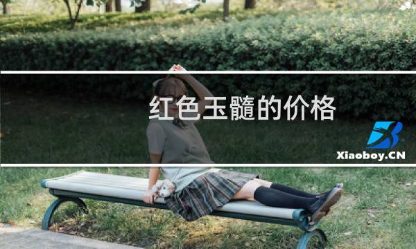 红色玉髓的价格