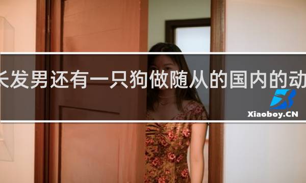 红色长发男还有一只狗做随从的国内的动画片叫什么