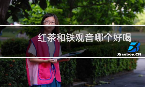 红茶和铁观音哪个好喝