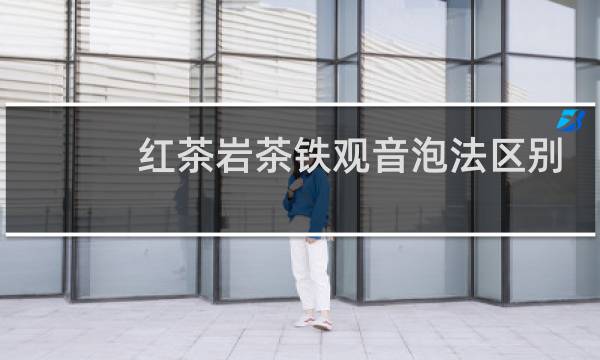 红茶岩茶铁观音泡法区别
