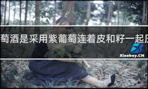 红葡萄酒是采用紫葡萄连着皮和籽一起压榨发酵的