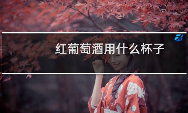 红葡萄酒用什么杯子