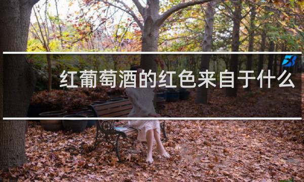 红葡萄酒的红色来自于什么