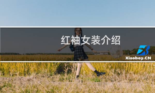 红袖女装介绍