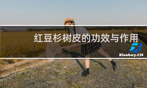 红豆杉树皮的功效与作用