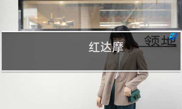 红达摩 攻略