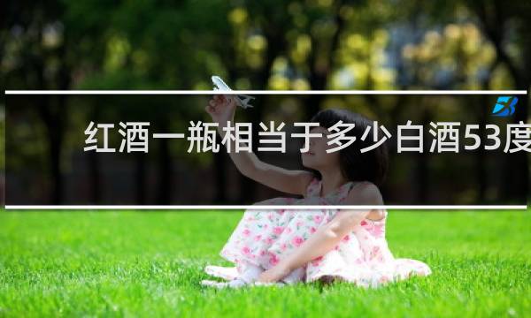 红酒一瓶相当于多少白酒53度