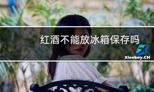 红酒不能放冰箱保存吗