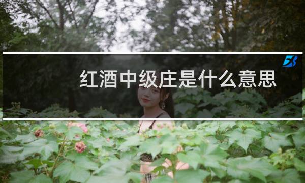 红酒中级庄是什么意思