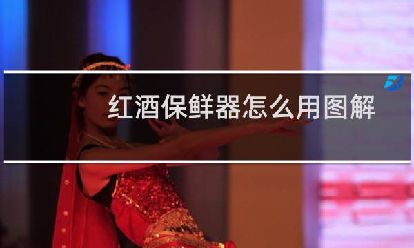 红酒保鲜器怎么用图解